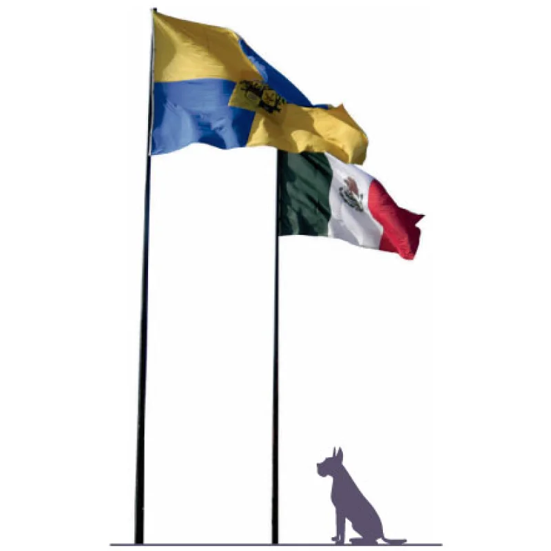Poste Asta Bandera