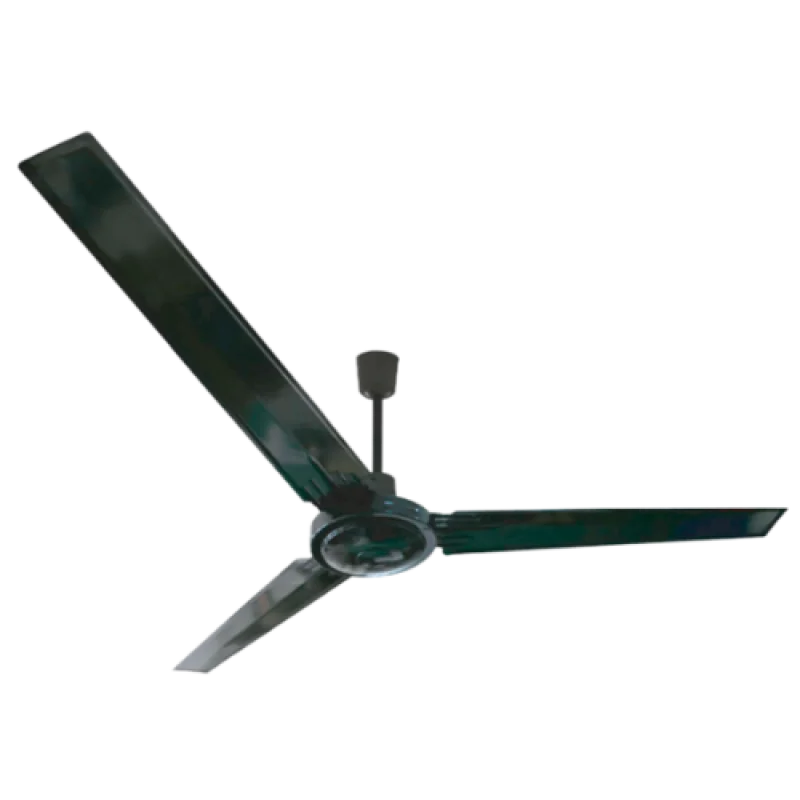 Serie Thypoon